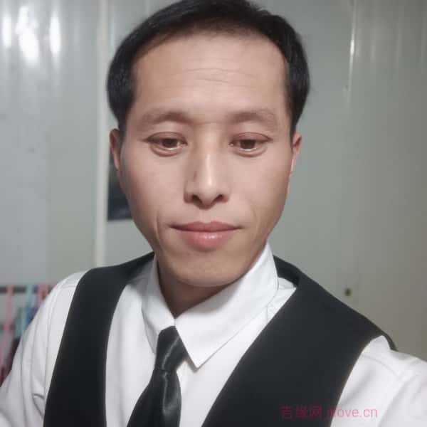临沂征婚网